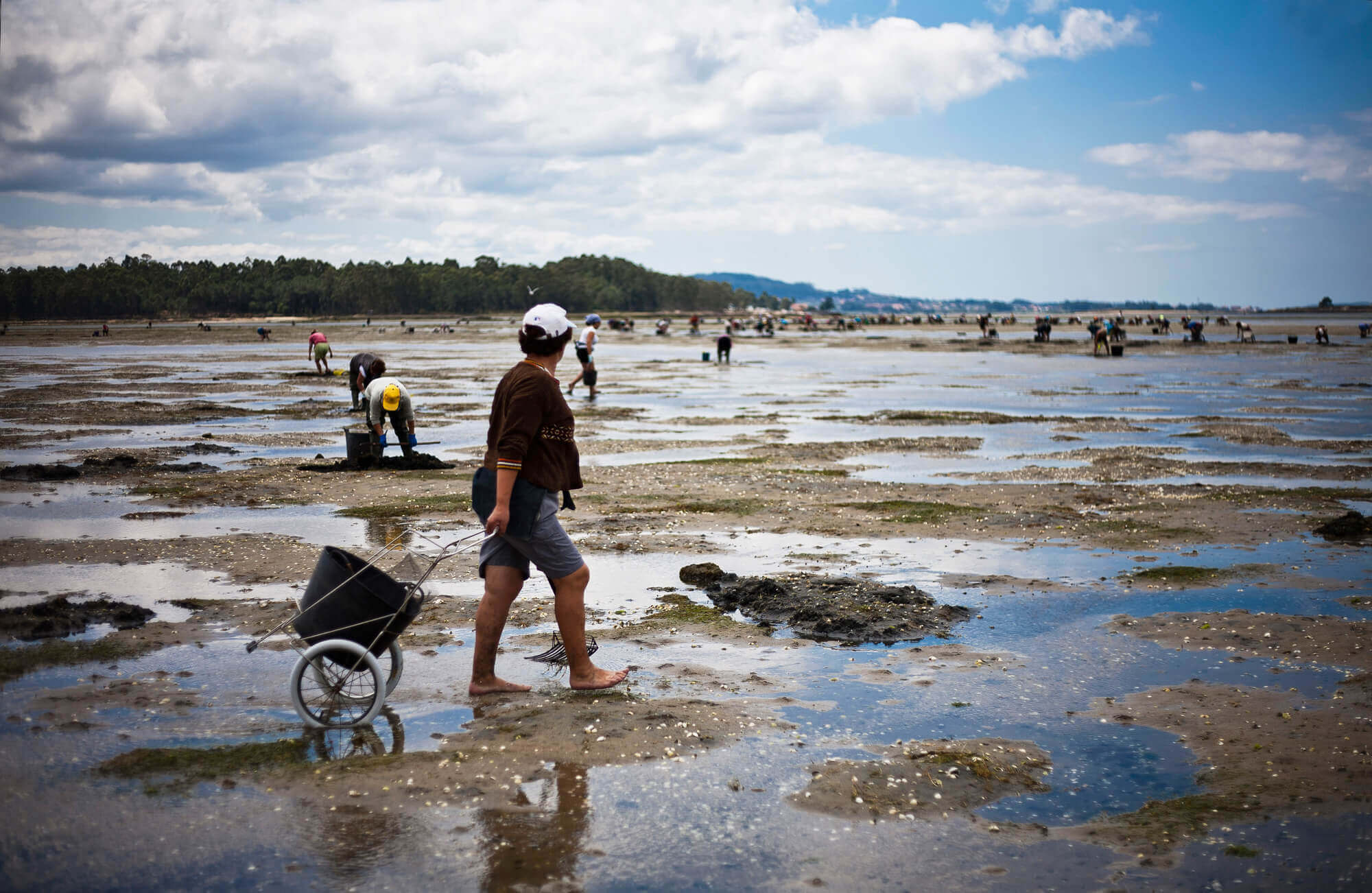 Turismo Marinero Rías Baixas Guíate Galicia