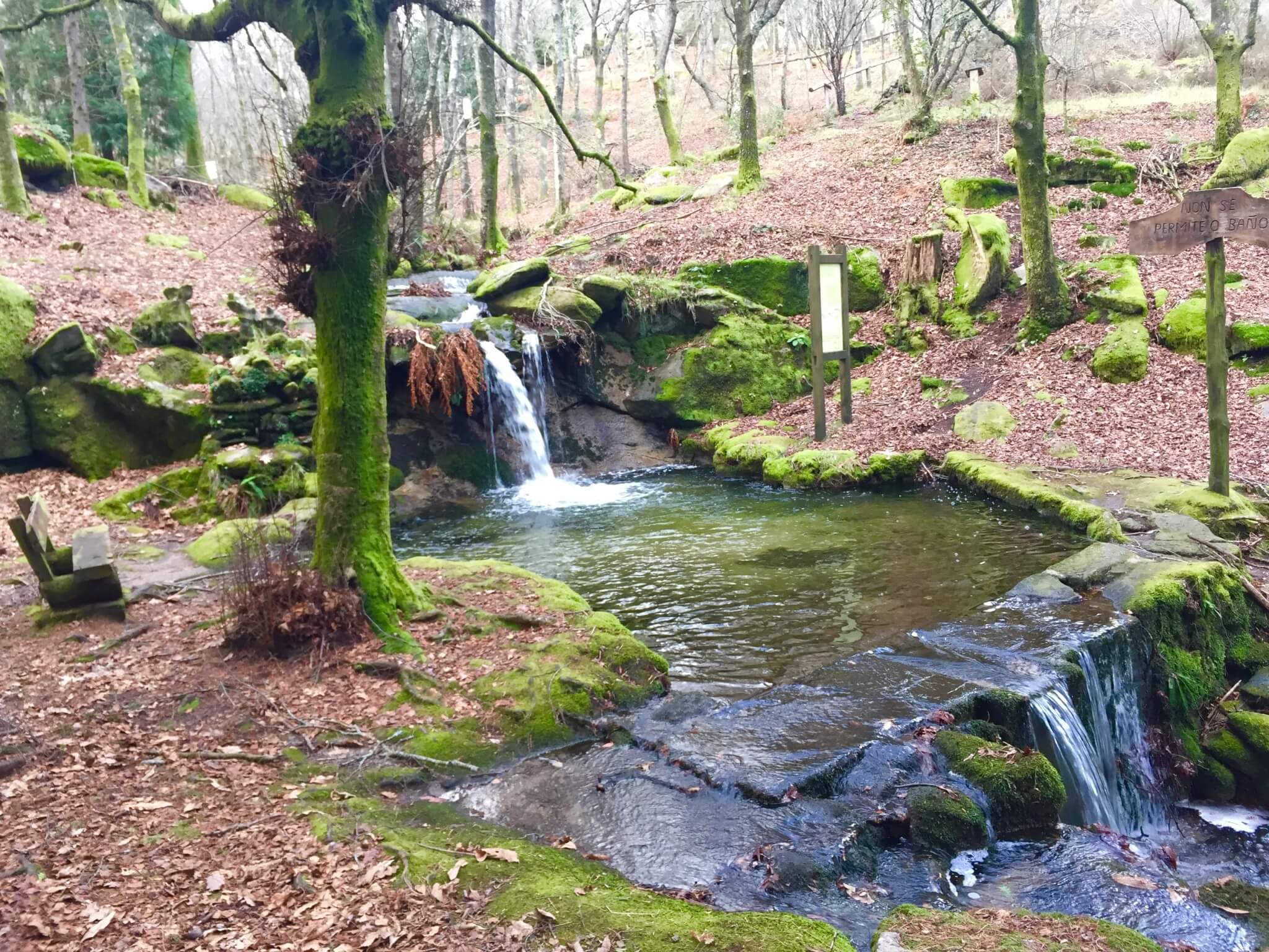 Monte Aloia Guíate Galicia