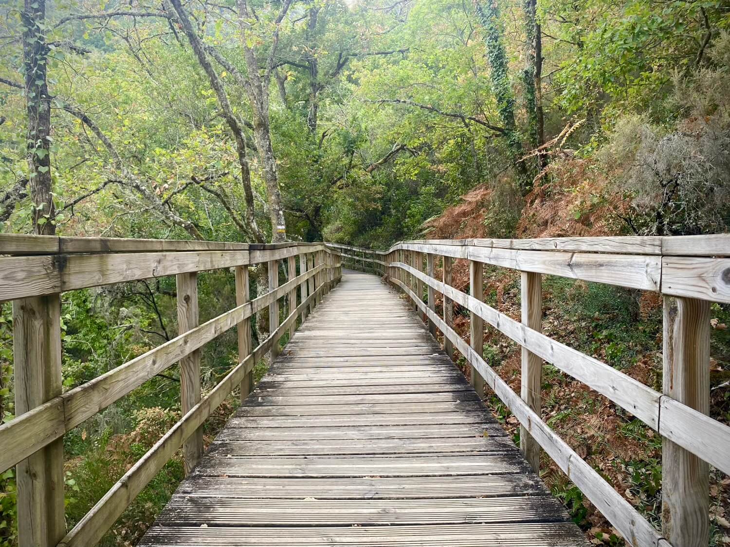 Pasarelas Río Mao Guíate Galicia Pasarelas Río Mao Guíate Galicia