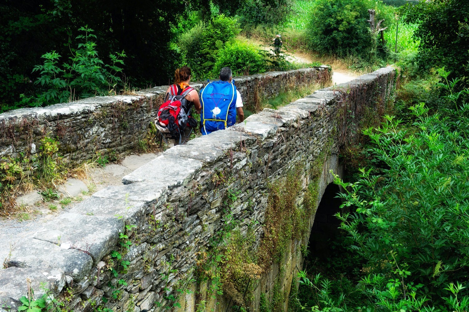 Guías Turísticos Acompañantes Guíate Galicia