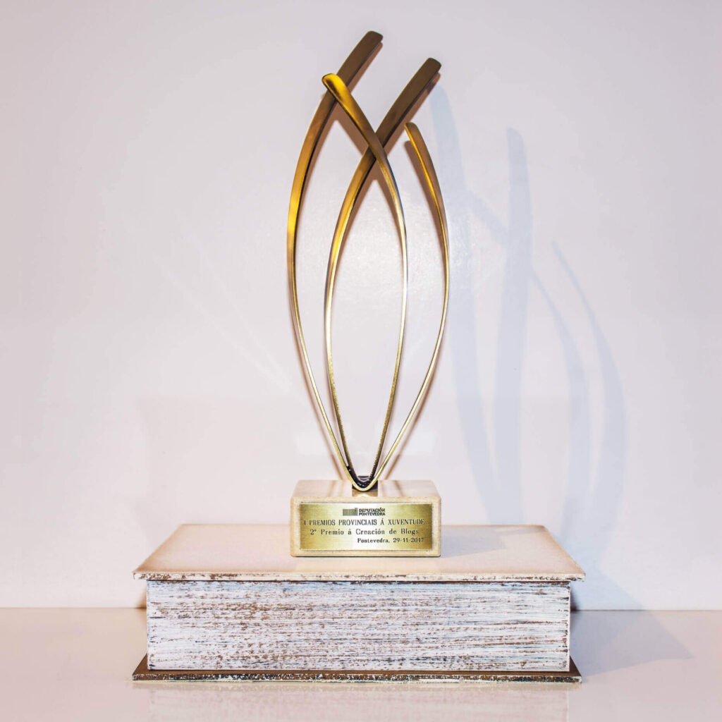 2º Premio en los Premios Provinciais á Xuventude Guíate Galicia