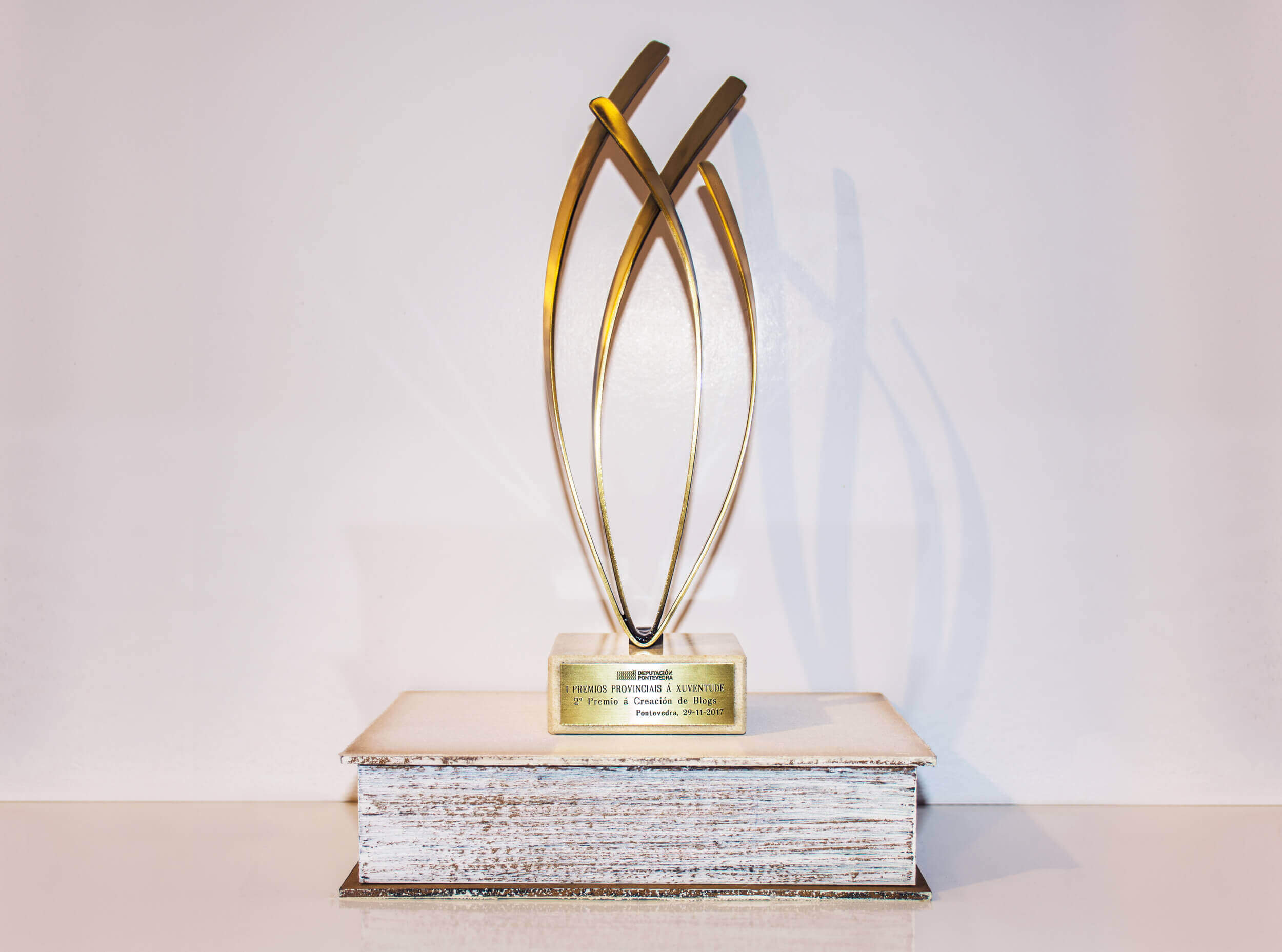 2º Premio en los Premios Provinciais á Xuventude Guíate Galicia