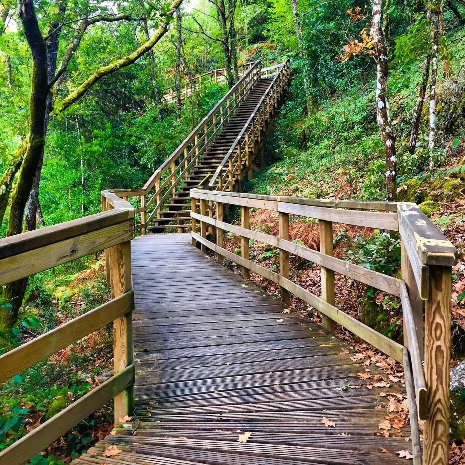 Pasarelas Río Mao Guíate Galicia