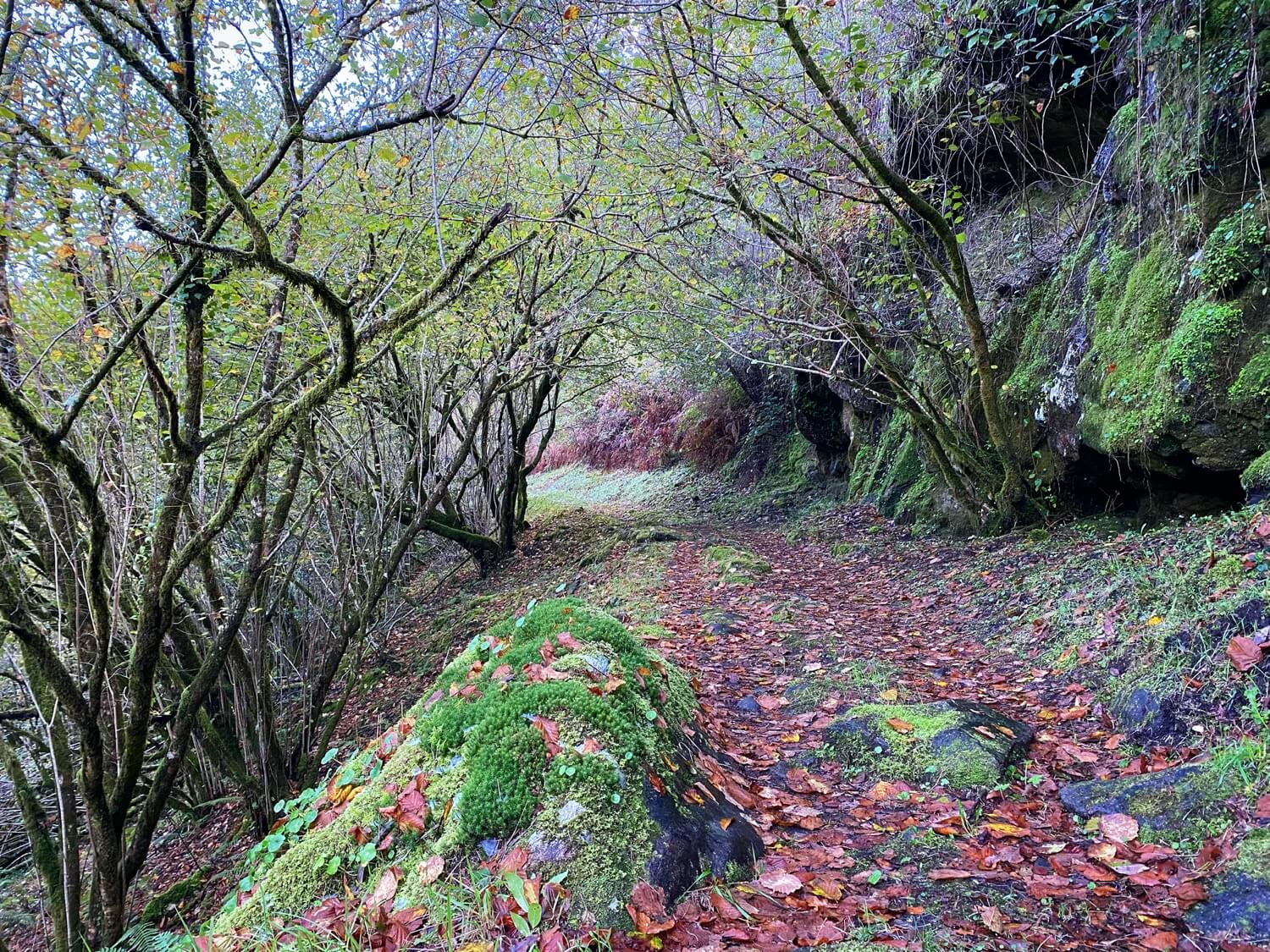 Ponte Nova, San Xurxo Guíate Galicia