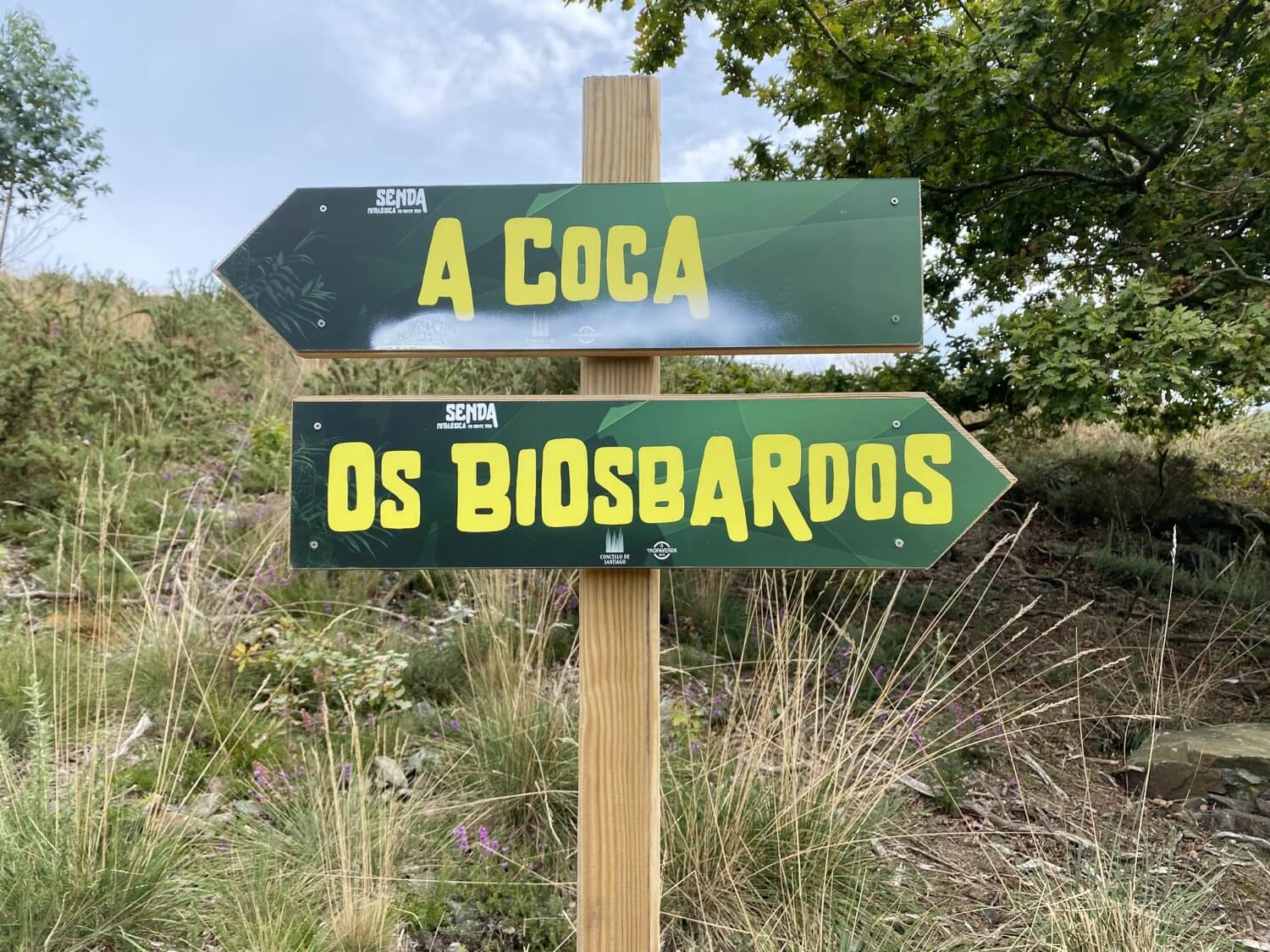 Seres Mitológicos Monte do Viso Guíate Galicia Seres Mitológicos Monte do Viso Guíate Galicia