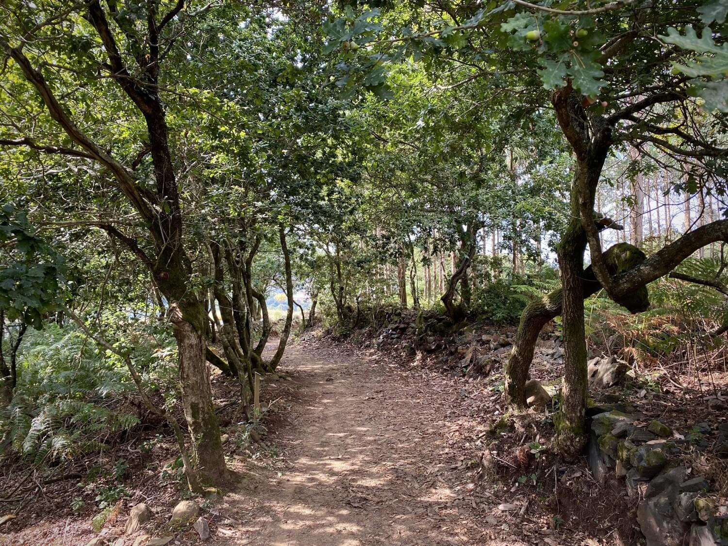 Seres Mitológicos Monte do Viso Guíate Galicia Seres Mitológicos Monte do Viso Guíate Galicia
