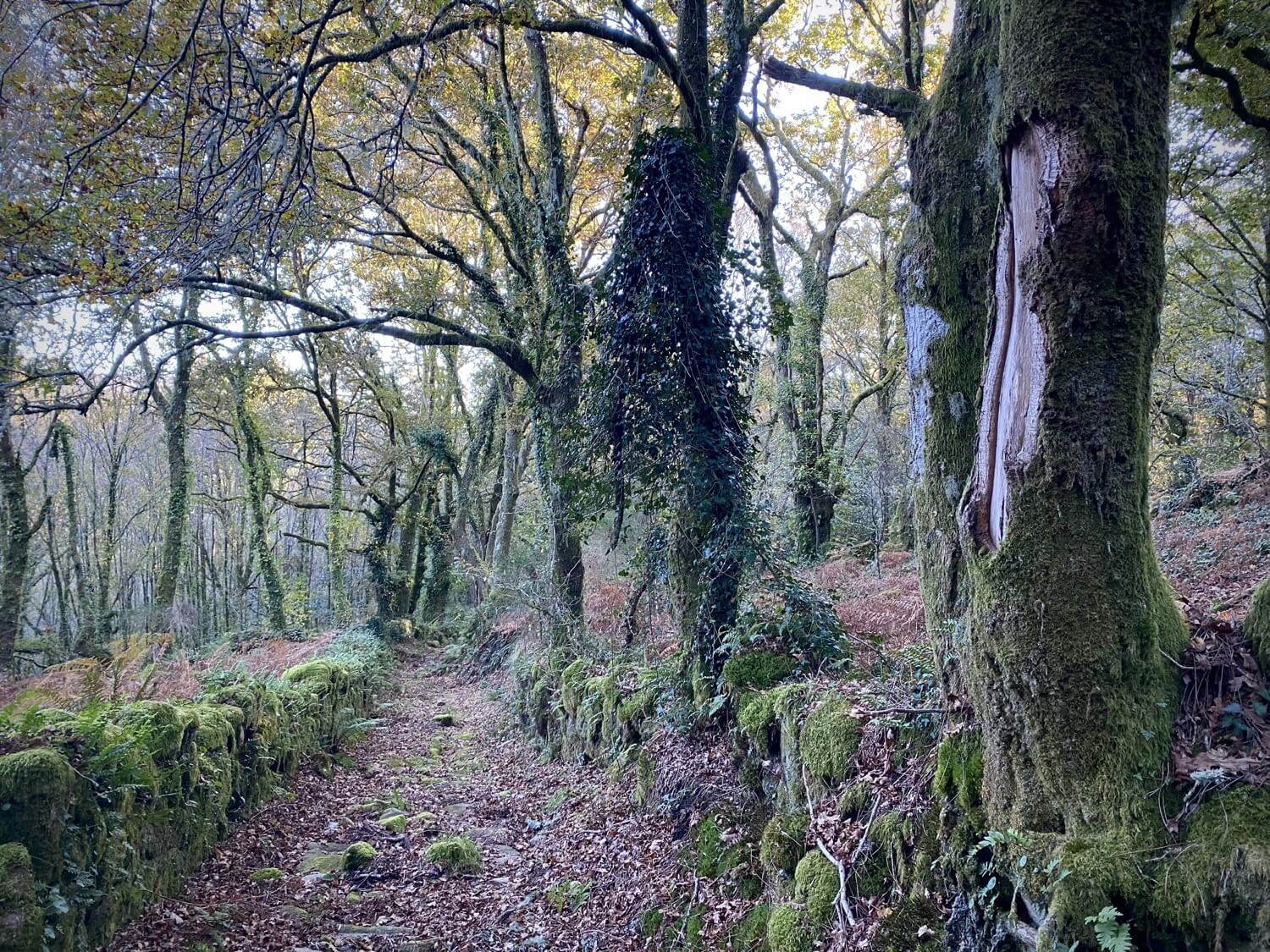 Puentes Singulares Cerdedo-Cotobade Guíate Galicia Puentes Singulares Cerdedo-Cotobade Guíate Galicia