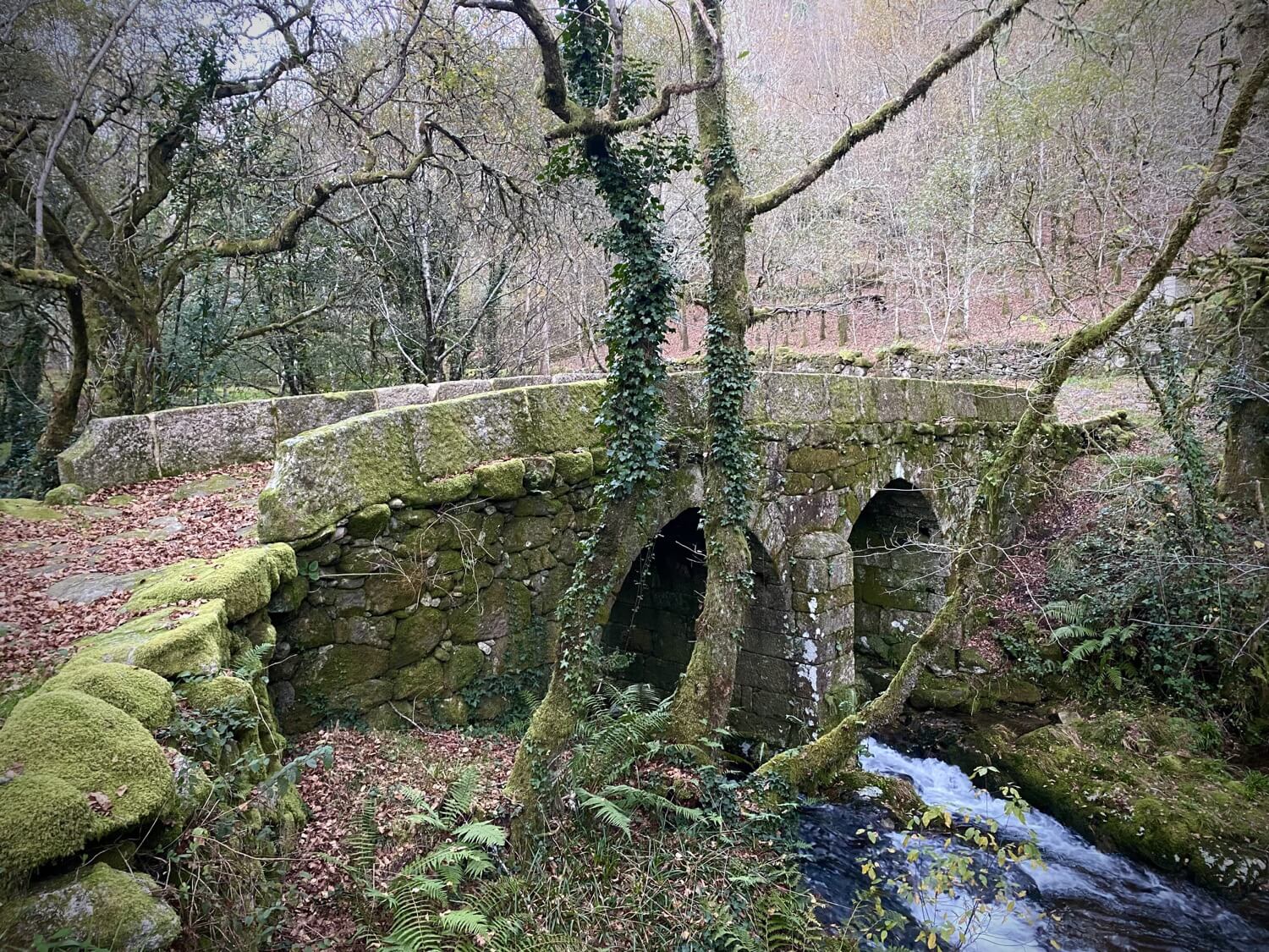 Puentes Singulares Cerdedo-Cotobade Guíate Galicia Puentes Singulares Cerdedo-Cotobade Guíate Galicia