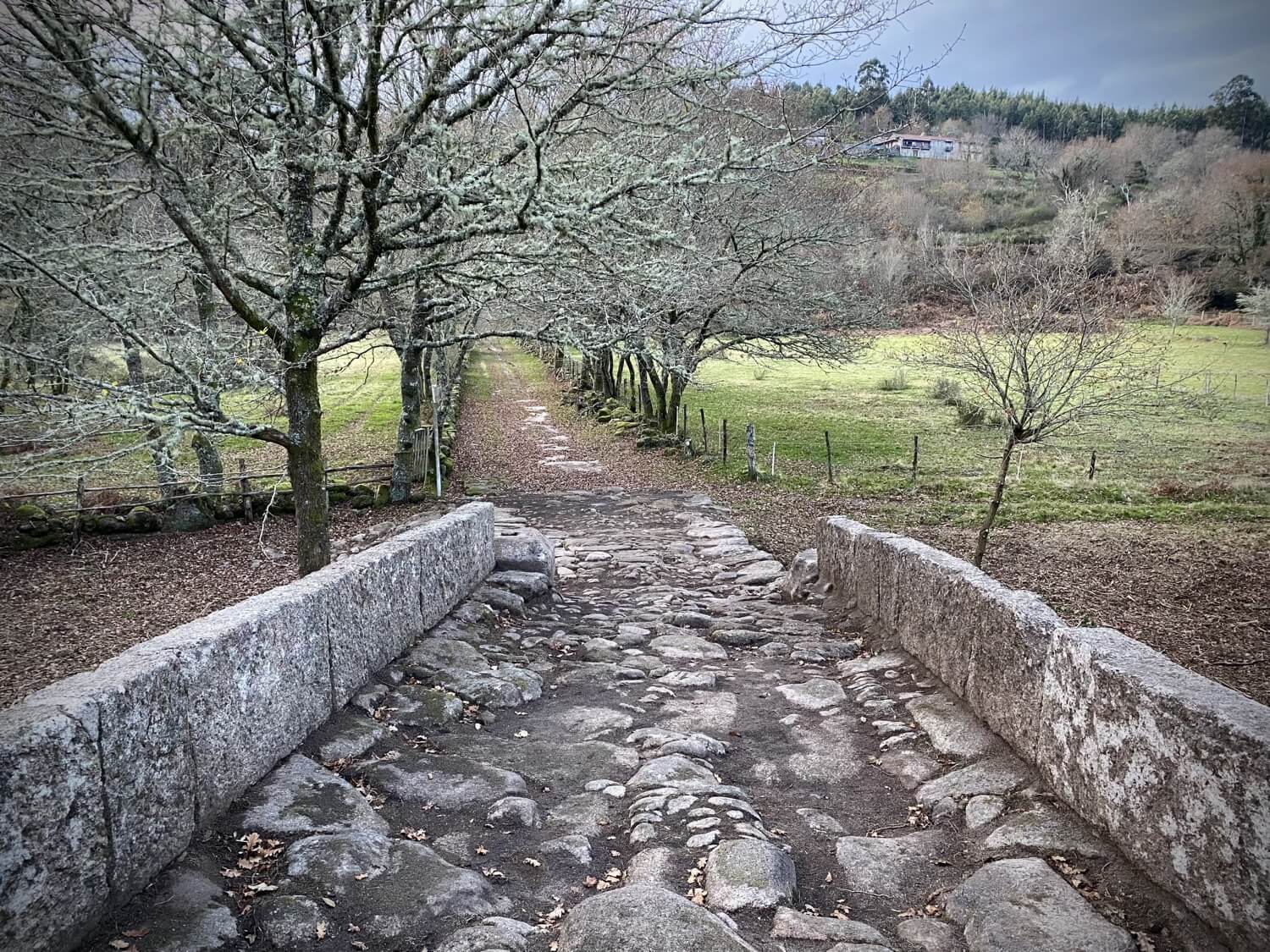 Puentes Singulares Cerdedo-Cotobade Guíate Galicia Puentes Singulares Cerdedo-Cotobade Guíate Galicia4