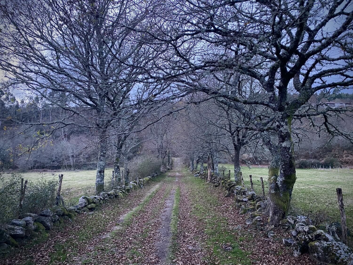 Puentes Singulares Cerdedo-Cotobade Guíate Galicia Puentes Singulares Cerdedo-Cotobade Guíate Galicia